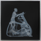 Gym Bunny - Lenticular-Photographic Print-Nick Veasey-Sorrel Sky Gallery