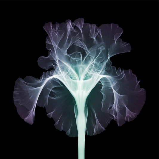 Iris Silverado-Photographic Print-Nick Veasey-Sorrel Sky Gallery