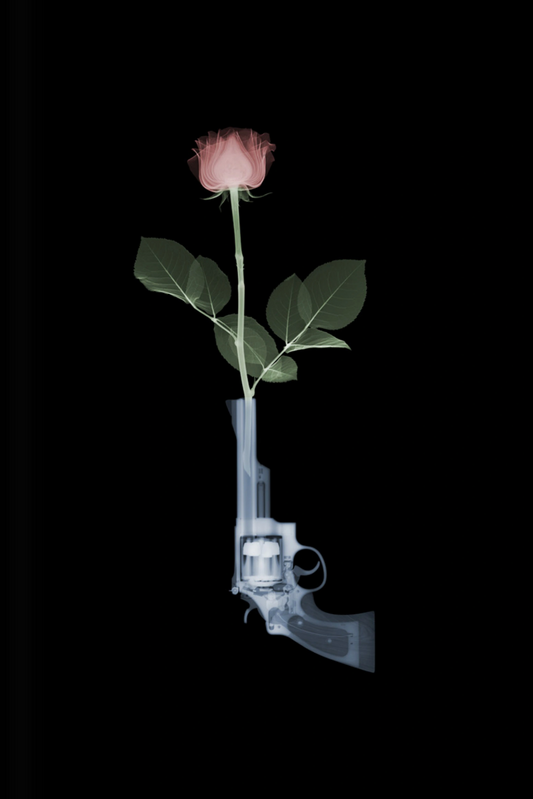 Magnum and Rose-Photographic Print-Nick Veasey-Sorrel Sky Gallery