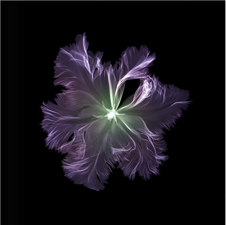 Parrot Tulip (above)-Photographic Print-Nick Veasey-Sorrel Sky Gallery