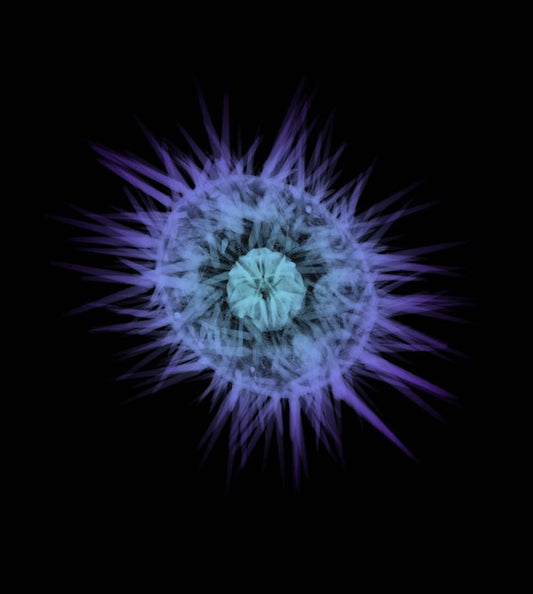 Shell v2025-Photographic Print-Nick Veasey-Sorrel Sky Gallery