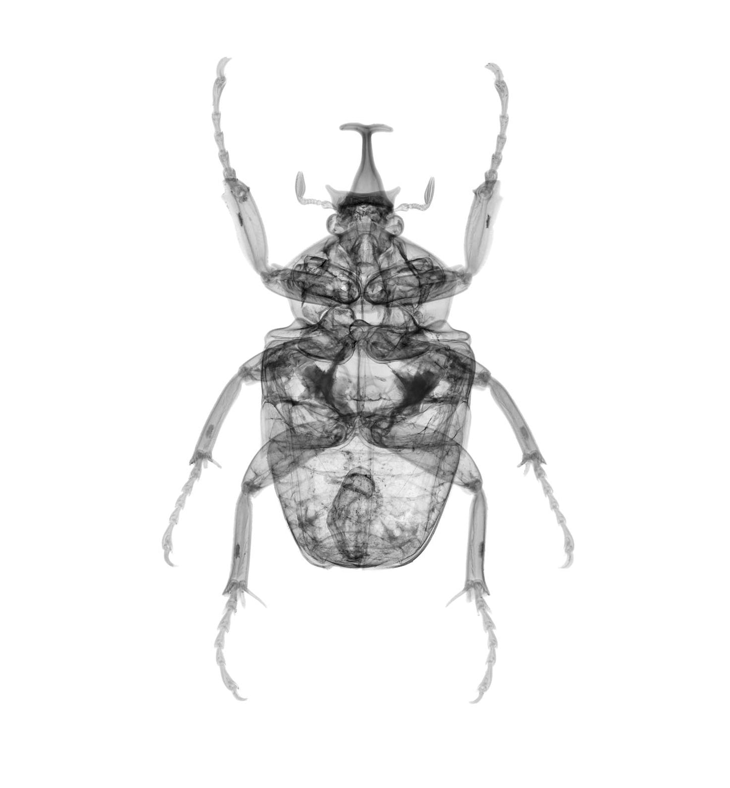 v1502-Photographic Print-Nick Veasey-Sorrel Sky Gallery