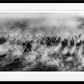 ONE HUNDRED HORSES (B&W)