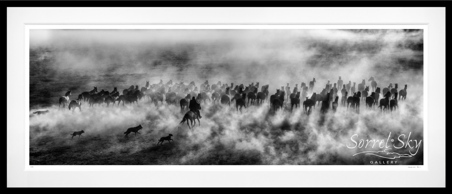 ONE HUNDRED HORSES (B&W)