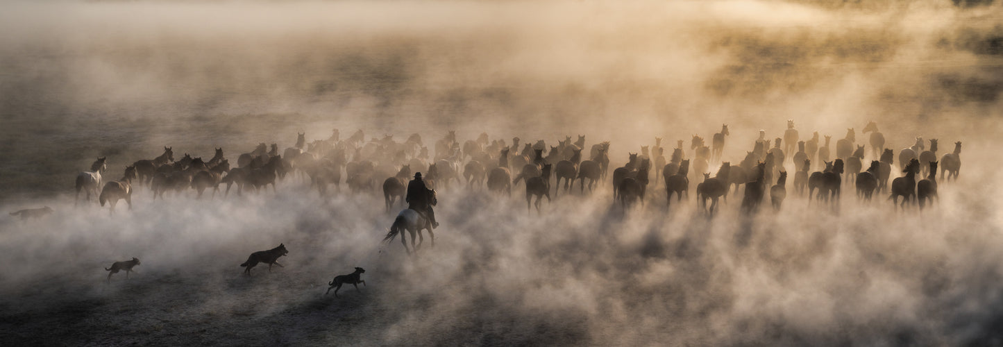 ONE HUNDRED HORSES (COLOUR)