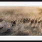 ONE HUNDRED HORSES (COLOUR)