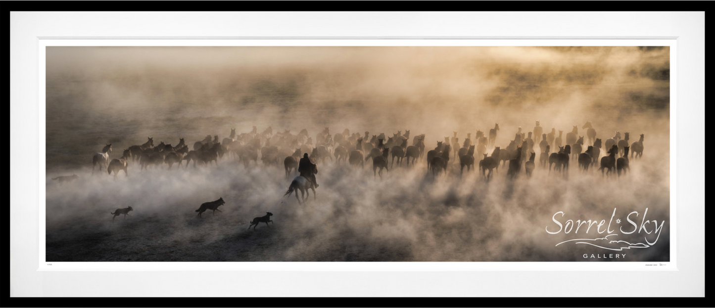 ONE HUNDRED HORSES (COLOUR)