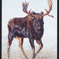 When I Was a Moose-Painting-Patricia Griffin-Sorrel Sky Gallery