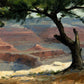 11 AM Pima Point-Painting-Peggy Immel-Sorrel Sky Gallery