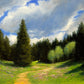 Emerald Meadow-Painting-Peggy Immel-Sorrel Sky Gallery