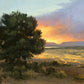 High Desert Drama-Painting-Peggy Immel-Sorrel Sky Gallery