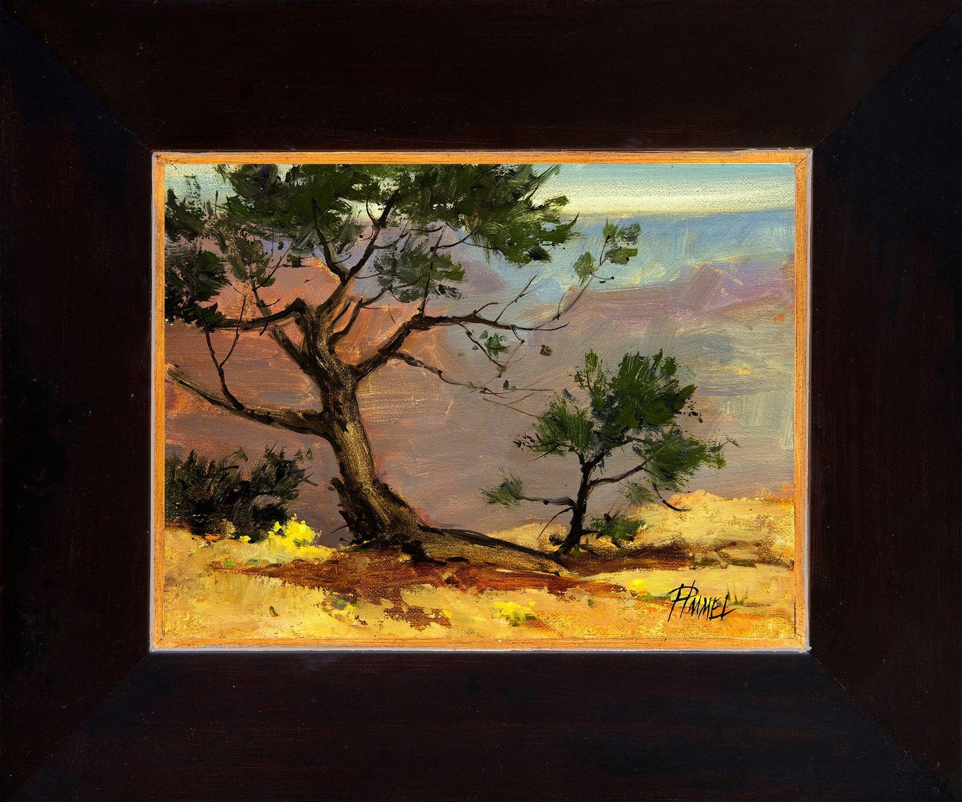 Pima Point Bonsai-Painting-Peggy Immel-Sorrel Sky Gallery