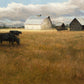Prime Pasture-Painting-Peggy Immel-Sorrel Sky Gallery