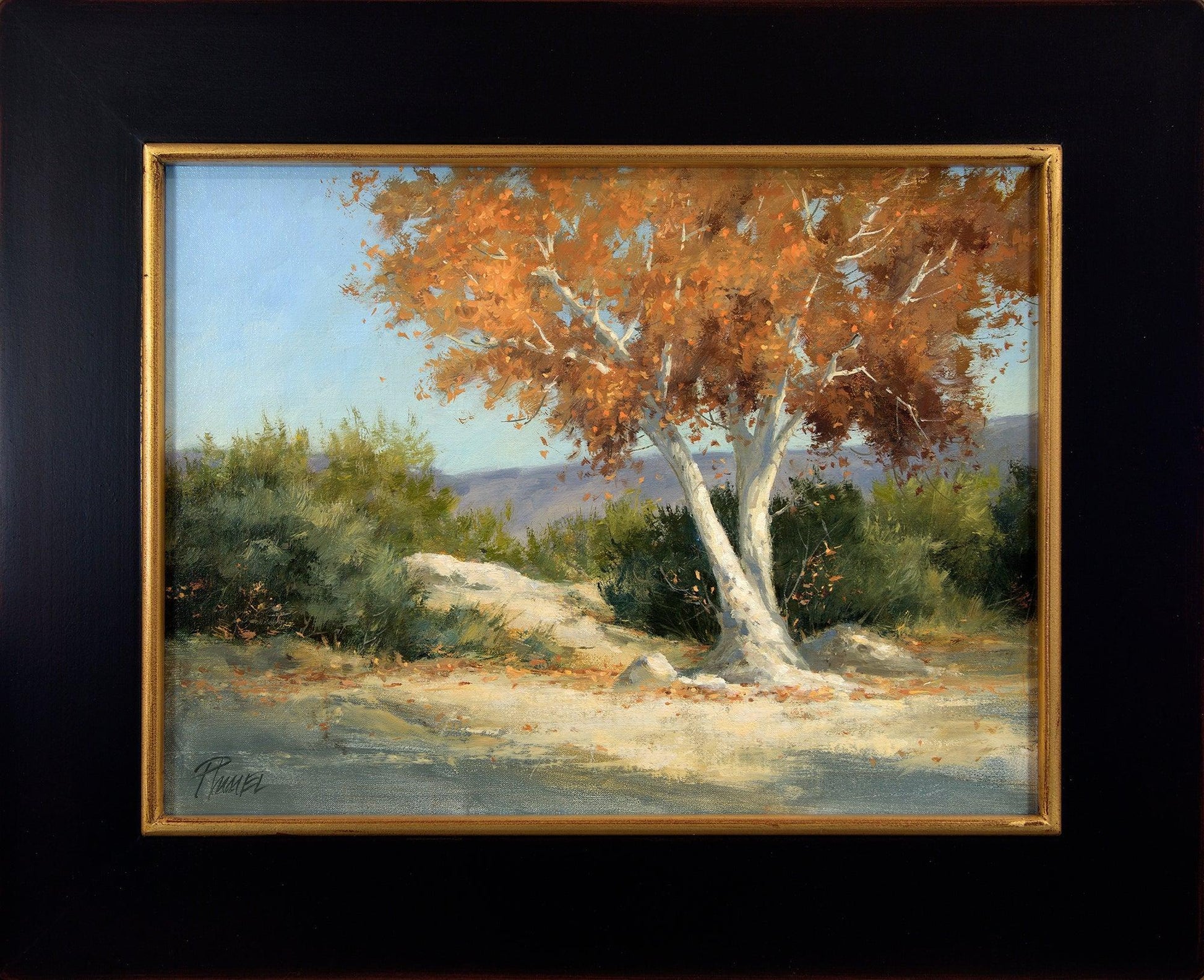 Solitary Sycamore-Painting-Peggy Immel-Sorrel Sky Gallery