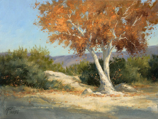 Solitary Sycamore-Painting-Peggy Immel-Sorrel Sky Gallery