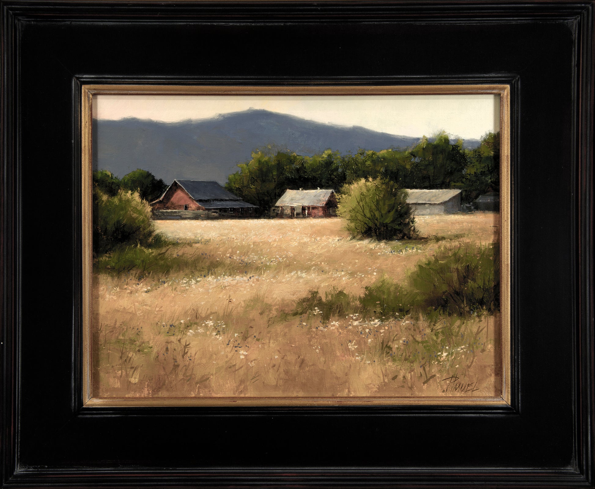 Summer Morning-Painting-Peggy Immel-Sorrel Sky Gallery
