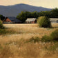 Summer Morning-Painting-Peggy Immel-Sorrel Sky Gallery