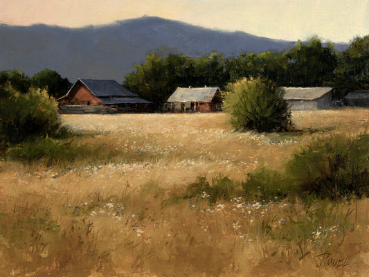 Summer Morning-Painting-Peggy Immel-Sorrel Sky Gallery