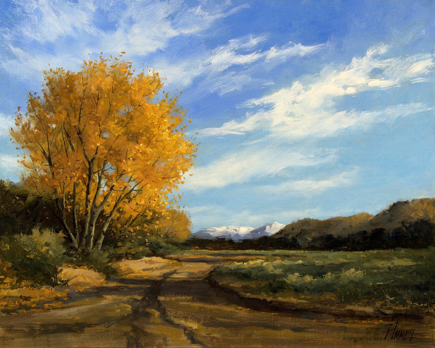 Up a Dry Creek Bed-Painting-Peggy Immel-Sorrel Sky Gallery