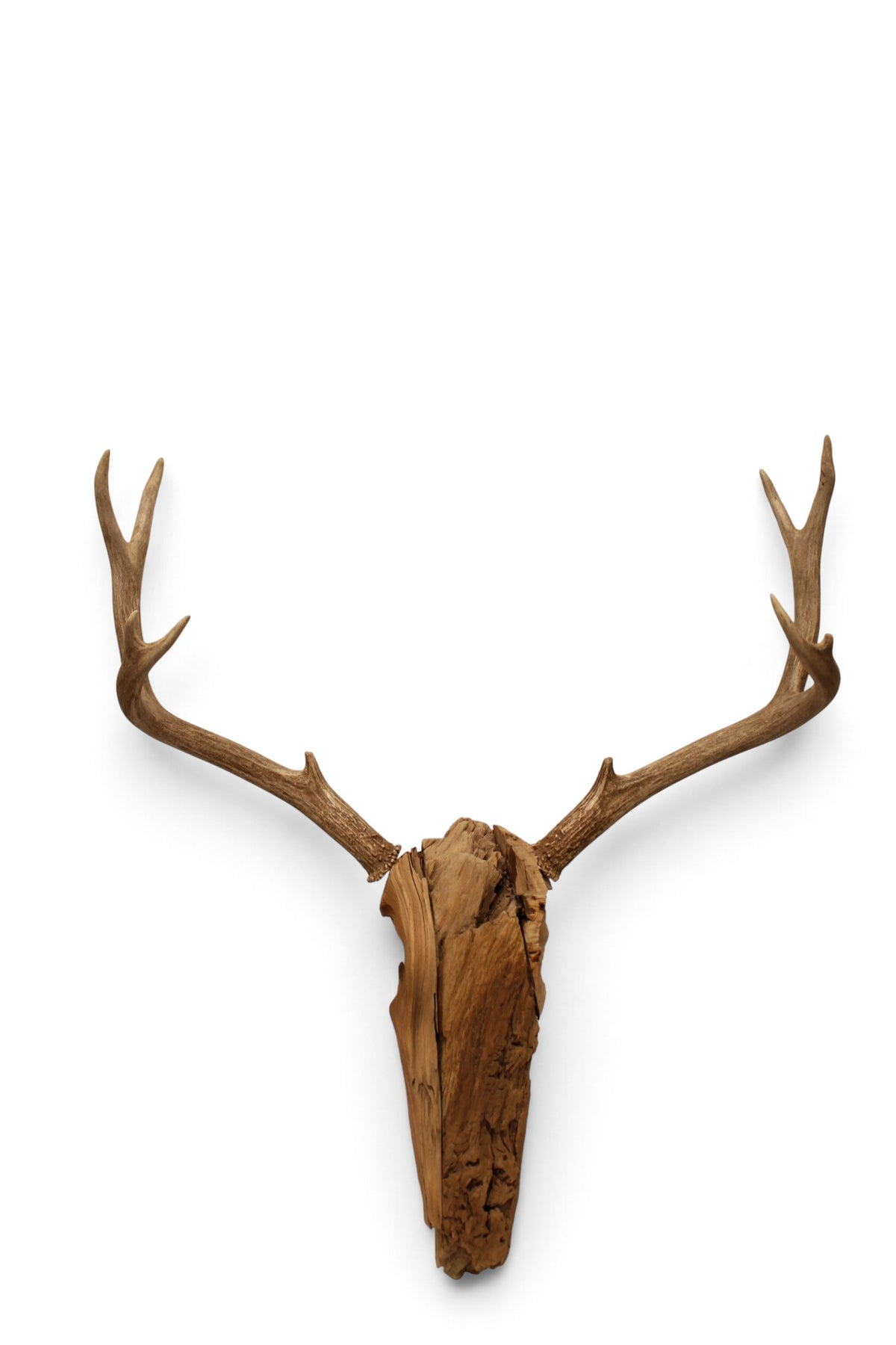 Drift Wood Deer Antler Mask