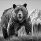 COCAINE BEAR