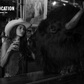 A BISON WALKS INTO A BAR…