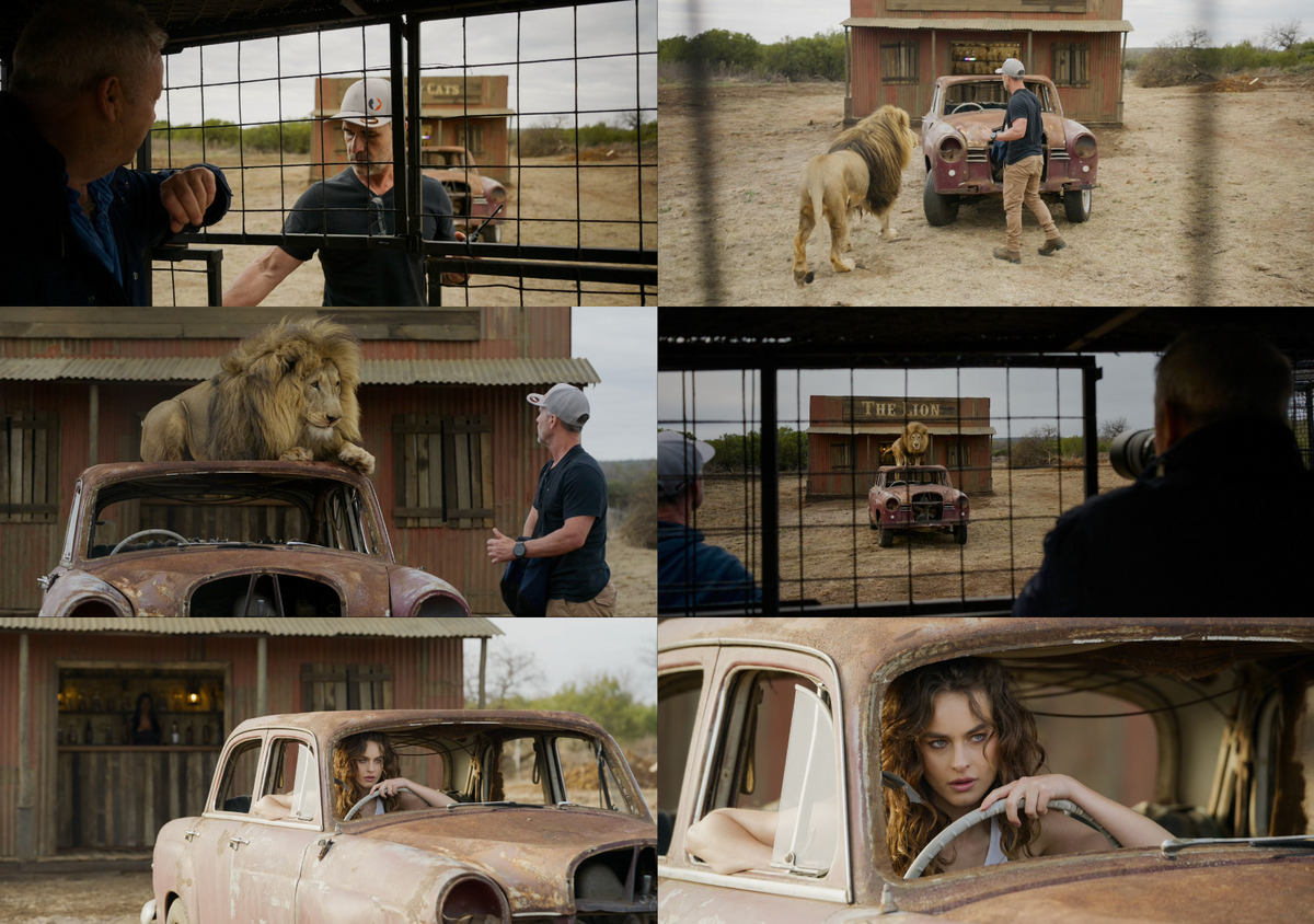 MEET ME AT "THE LION" (COLOUR)
