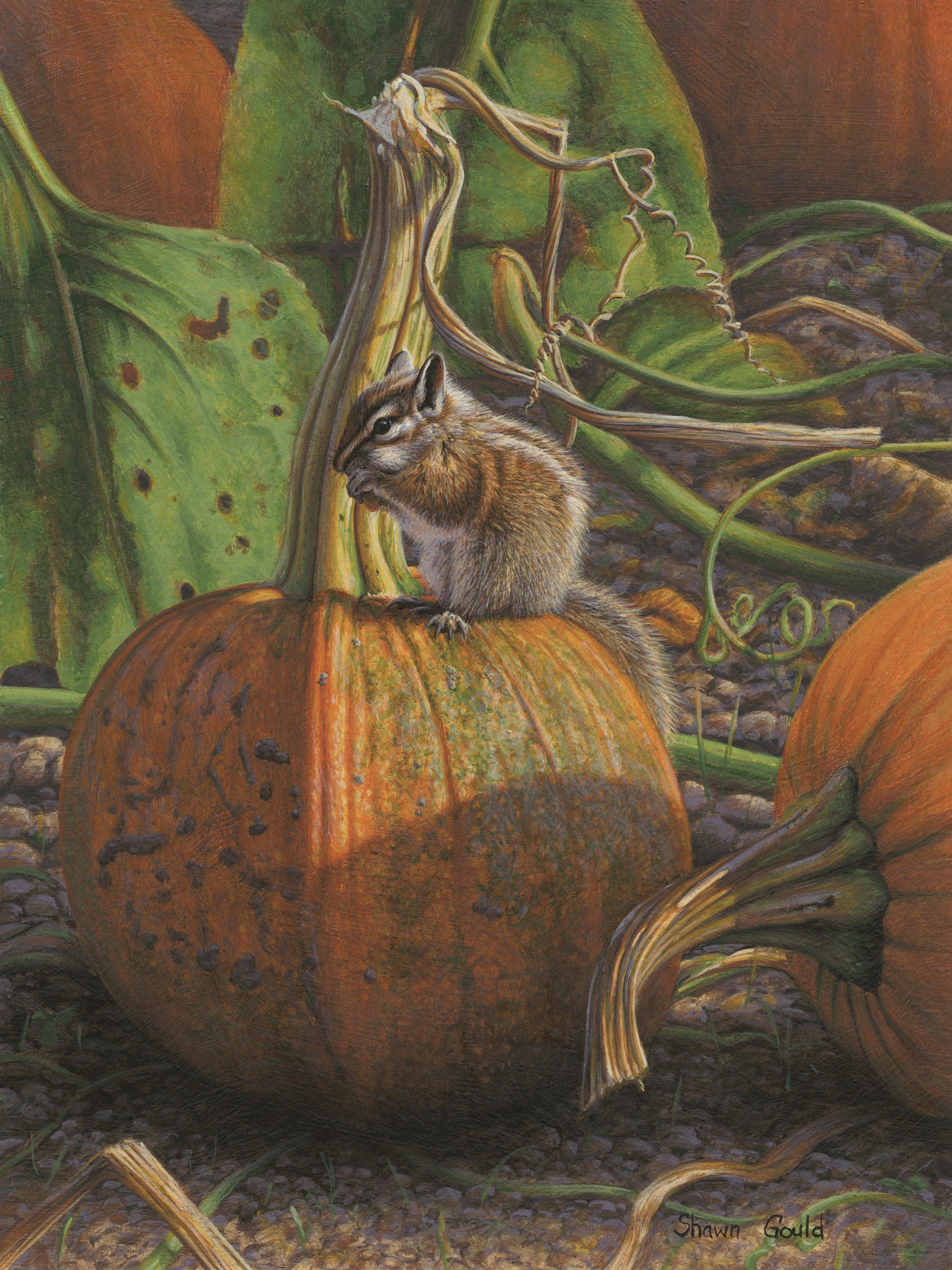 Wildlife and Animals | Sorrel Sky Gallery | David Yarrow