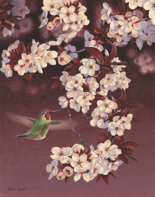 Anna’s and Plum-Painting-Shawn Gould-Sorrel Sky Gallery