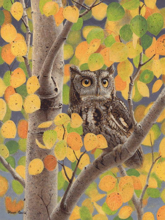 Autumn Screech Owl-Painting-Shawn Gould-Sorrel Sky Gallery
