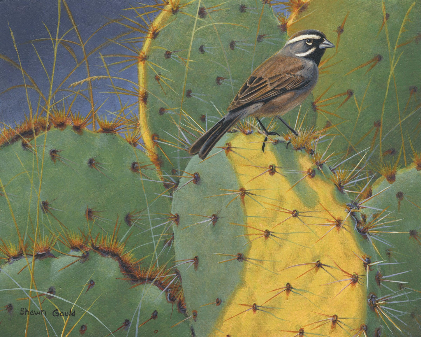 Black-throated Sparrow At Sunrise-Painting-Shawn Gould-Sorrel Sky Gallery