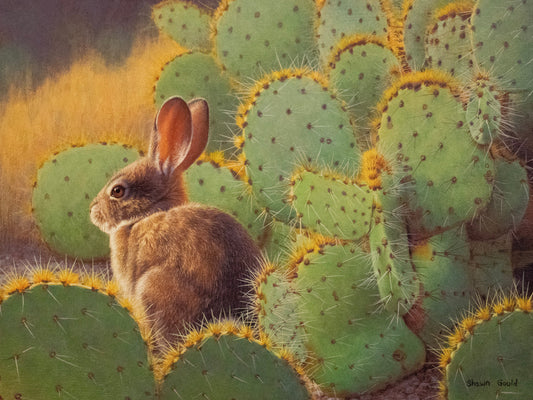 Desert Cottontail-Painting-Shawn Gould-Sorrel Sky Gallery