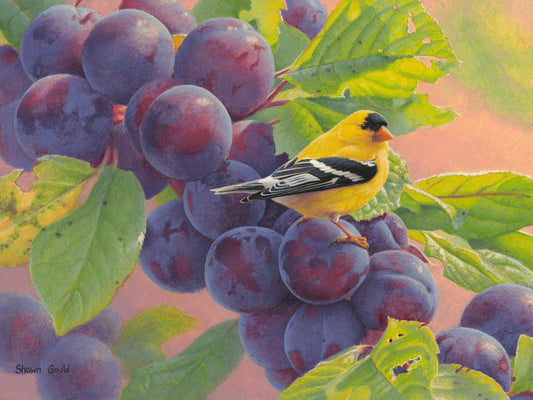 Plum Gold-Painting-Shawn Gould-Sorrel Sky Gallery