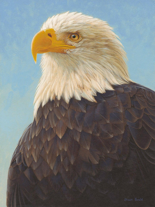Seeing Clearly-Painting-Shawn Gould-Sorrel Sky Gallery