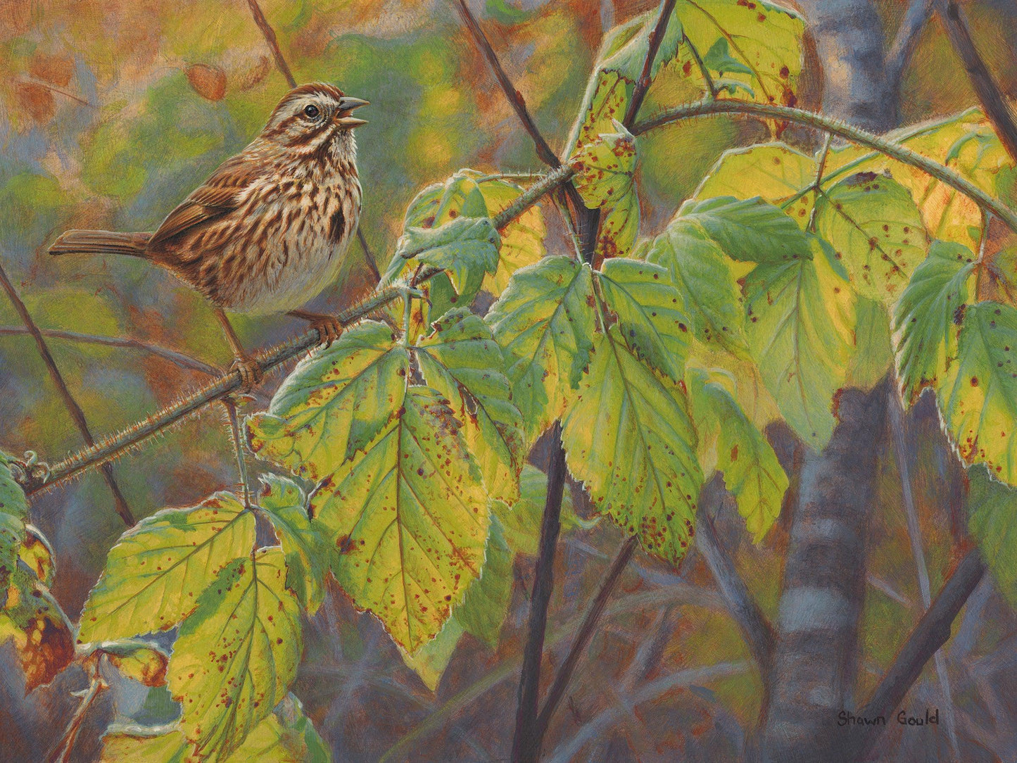 Song Sparrow’s Song-Painting-Shawn Gould-Sorrel Sky Gallery