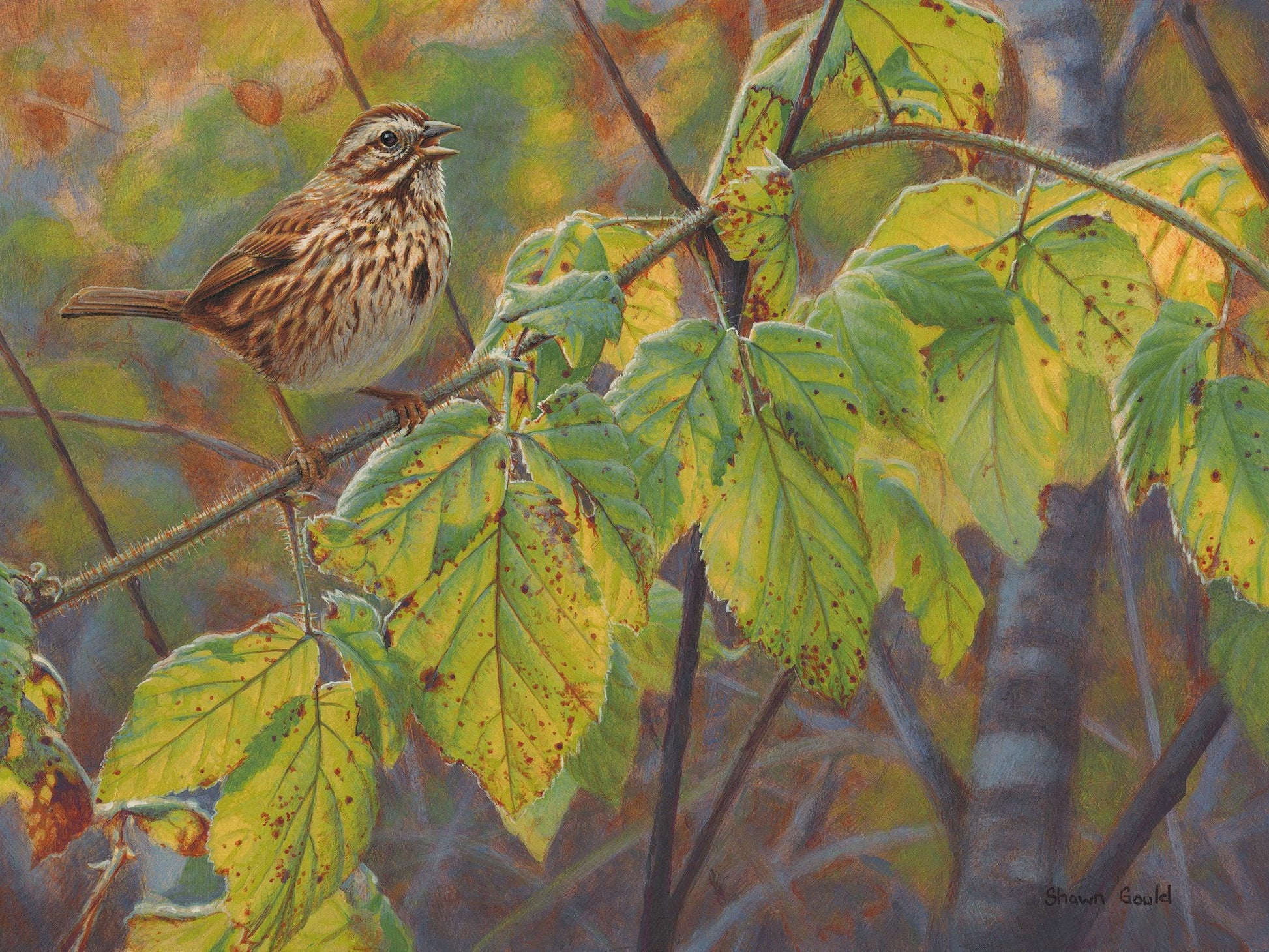 Song Sparrow’s Song-Painting-Shawn Gould-Sorrel Sky Gallery