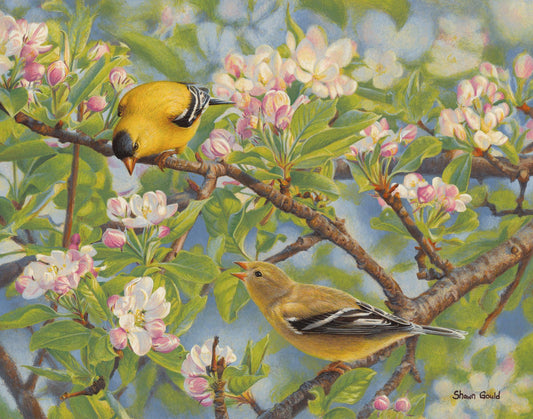Spring Courtship-Painting-Shawn Gould-Sorrel Sky Gallery