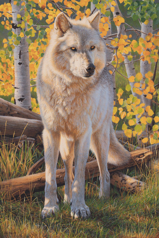 Wild Spirit-Painting-Shawn Gould-Sorrel Sky Gallery