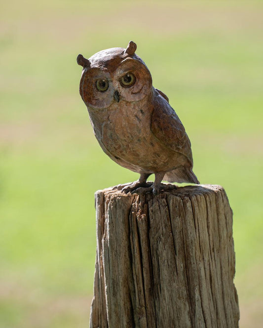 Owlette