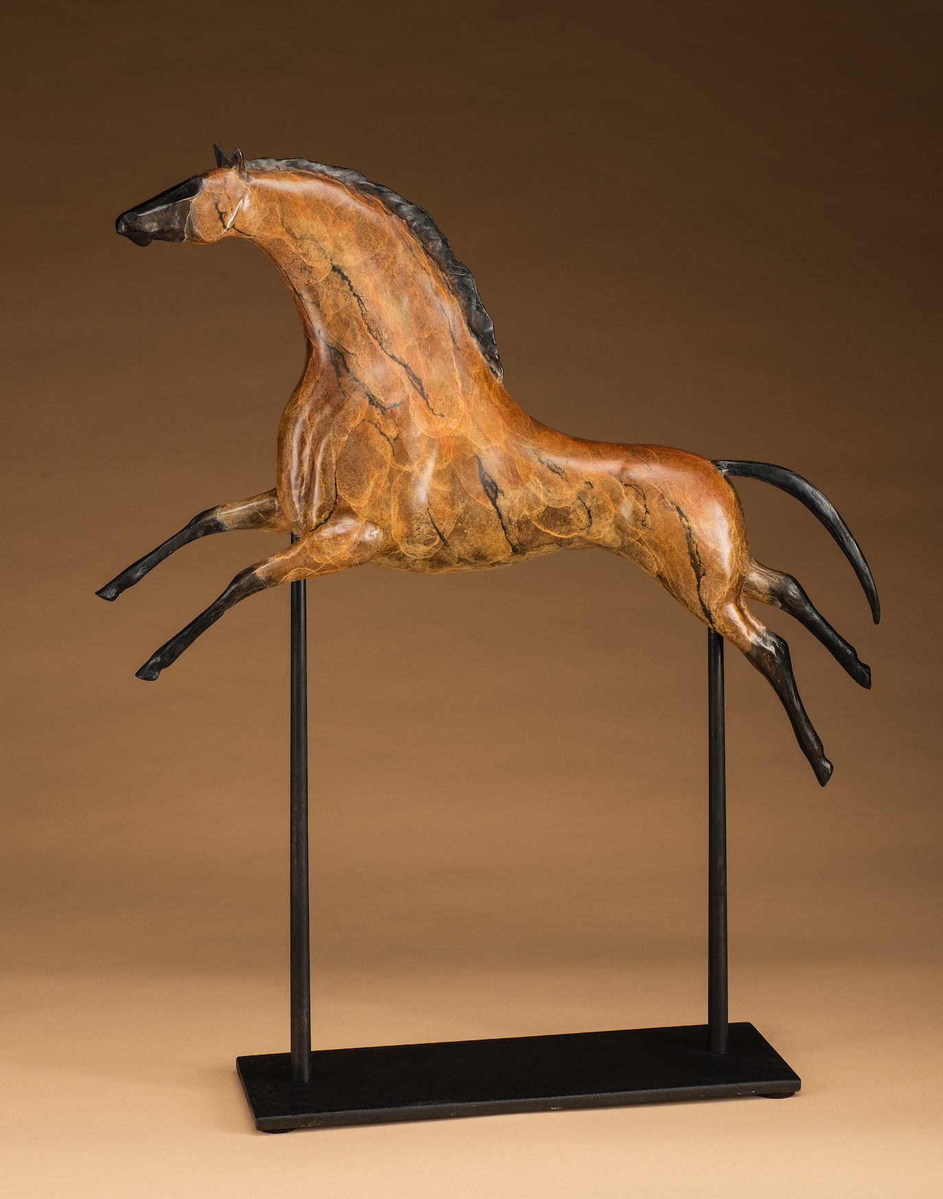 Tribal Stallion