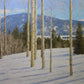 A Late Winter View-Painting-Stephen Day-Sorrel Sky Gallery