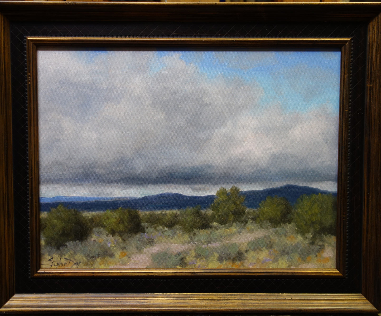 Cloud Shadow - New Mexico-Painting-Stephen Day-Sorrel Sky Gallery
