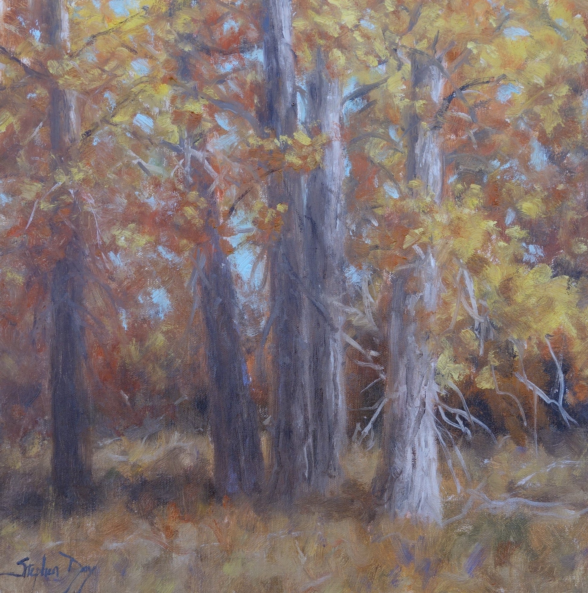 Fall Cottonwoods-Painting-Stephen Day-Sorrel Sky Gallery