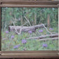 Fallen Timber - Wyoming-Painting-Stephen Day-Sorrel Sky Gallery
