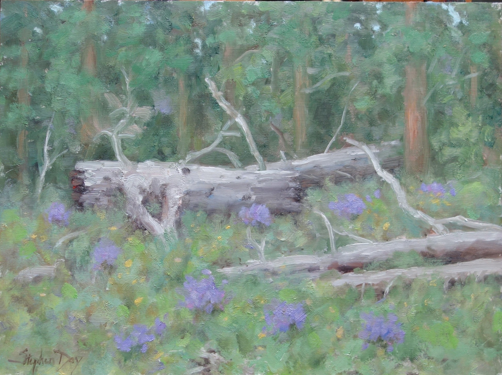 Fallen Timber - Wyoming-Painting-Stephen Day-Sorrel Sky Gallery