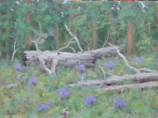 Fallen Timber - Wyoming-Painting-Stephen Day-Sorrel Sky Gallery
