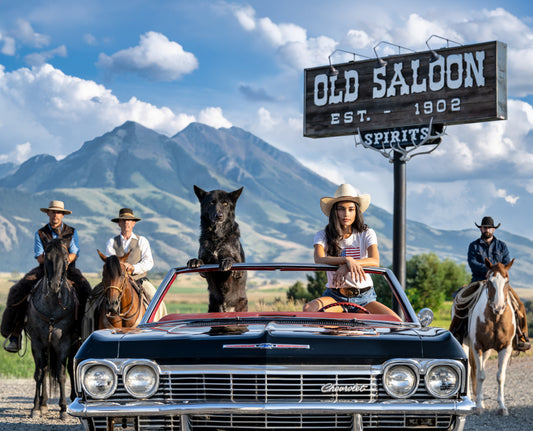 THE ROAD TO YELLOWSTONE (COLOUR)