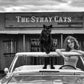 The Stray Cats (B&W)