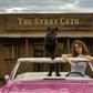 The Stray Cats (Colour)