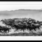 THE UNIT (B&W)